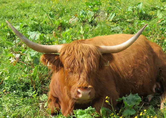 アパート Sunshine Schilchegger